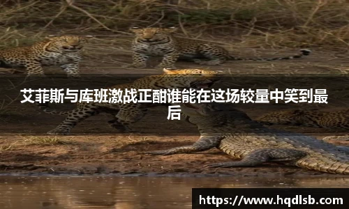 bsports官网